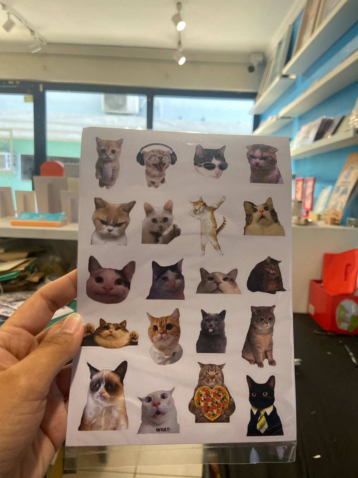 Meme Cats Sticker