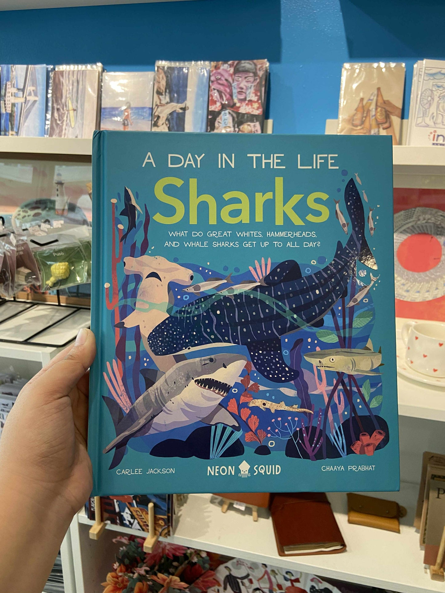 A Day Shark in the Life Sharks