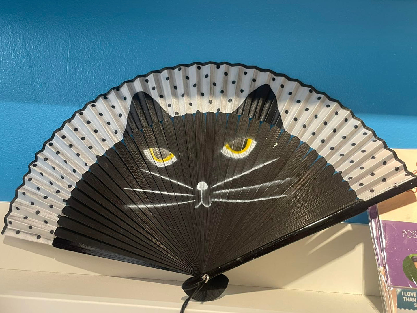 Cat Fan