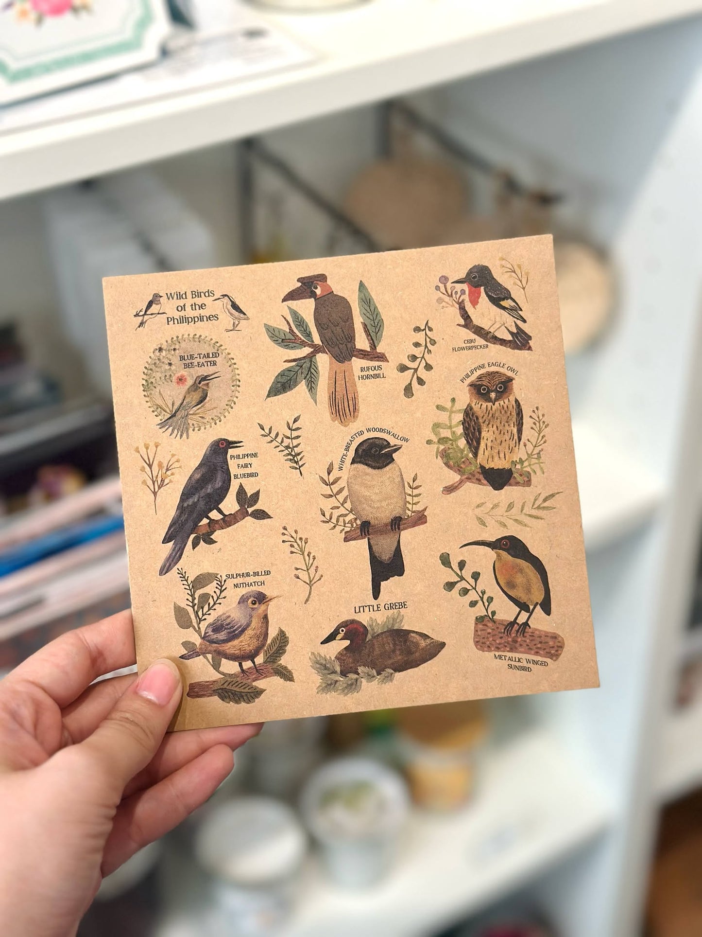 Papemelroti Postcards