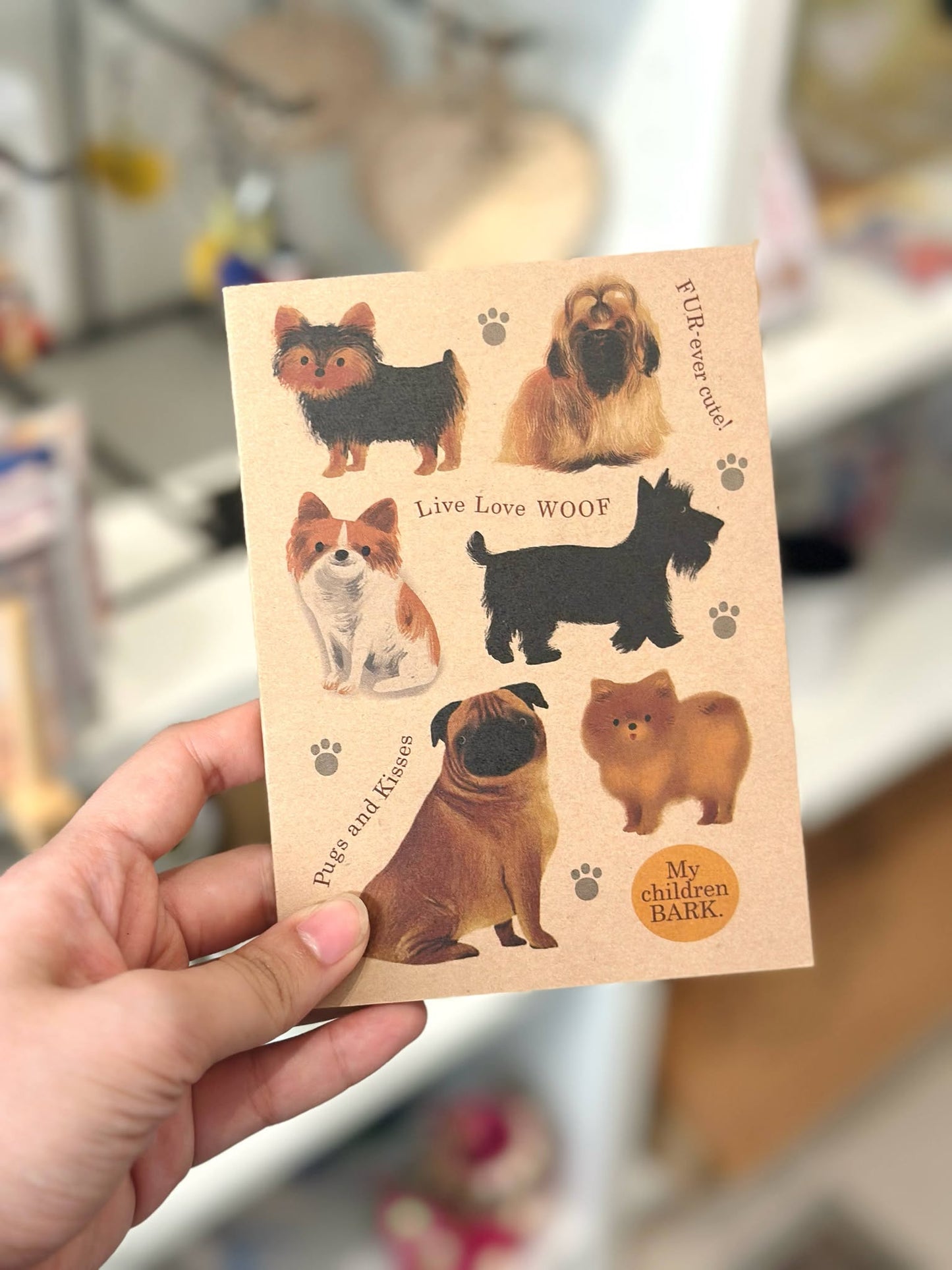 Papemelroti Collections Notebook