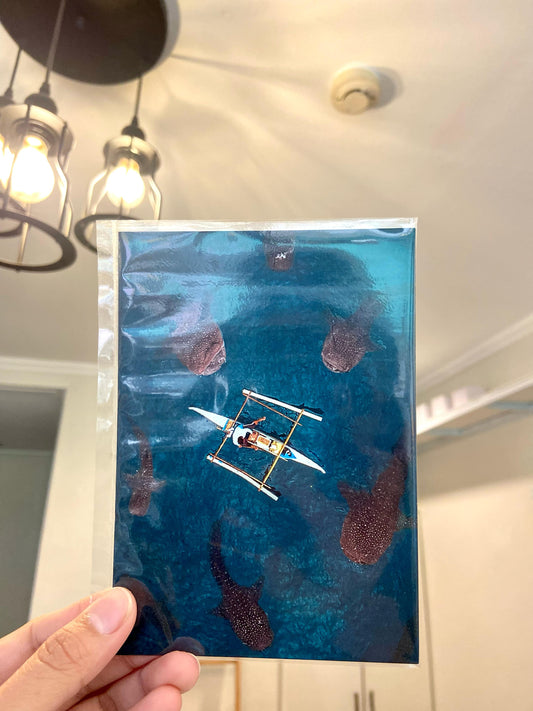Oslob Whale Shark Drone Postcard