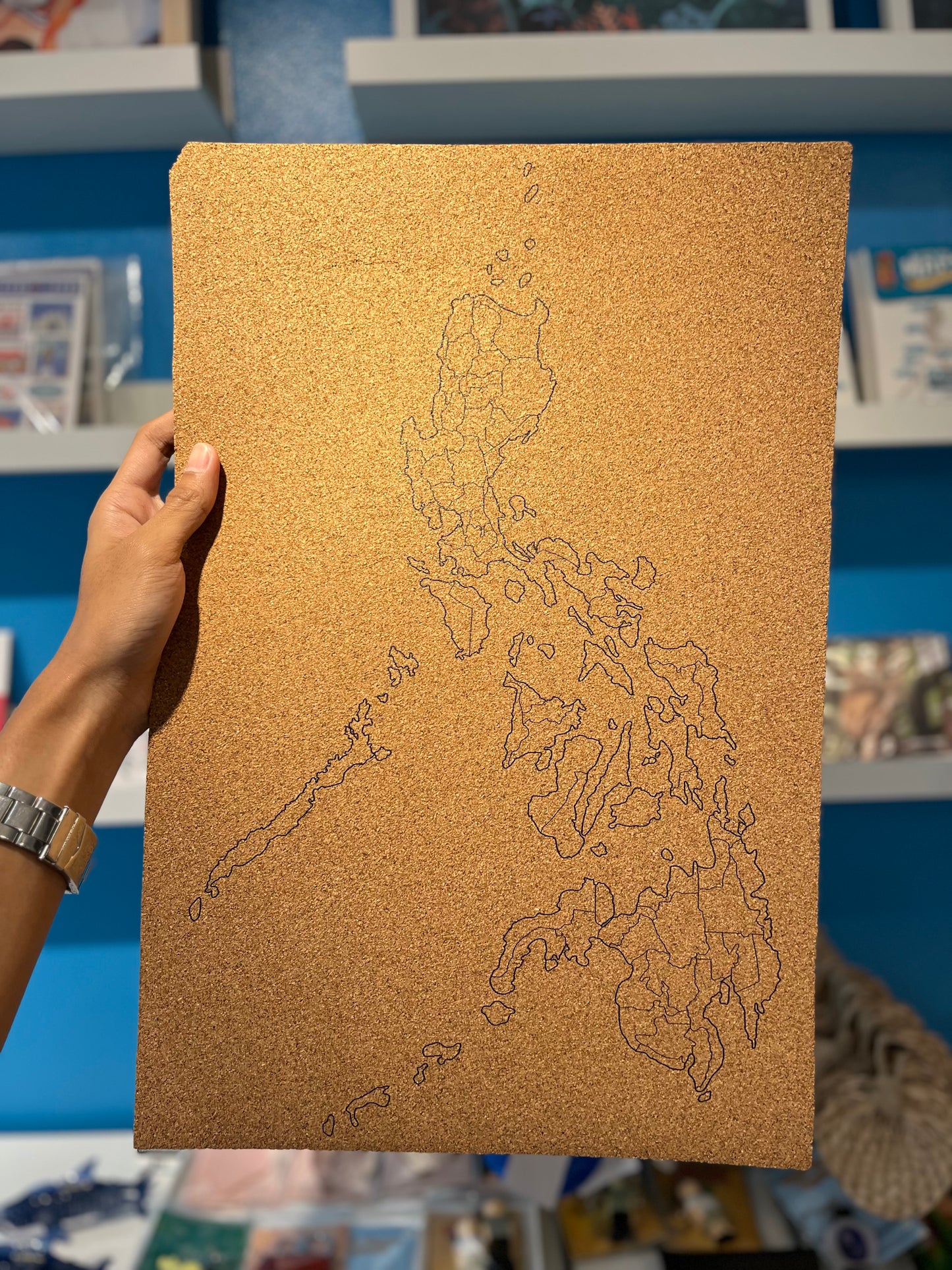 Map Cork Board