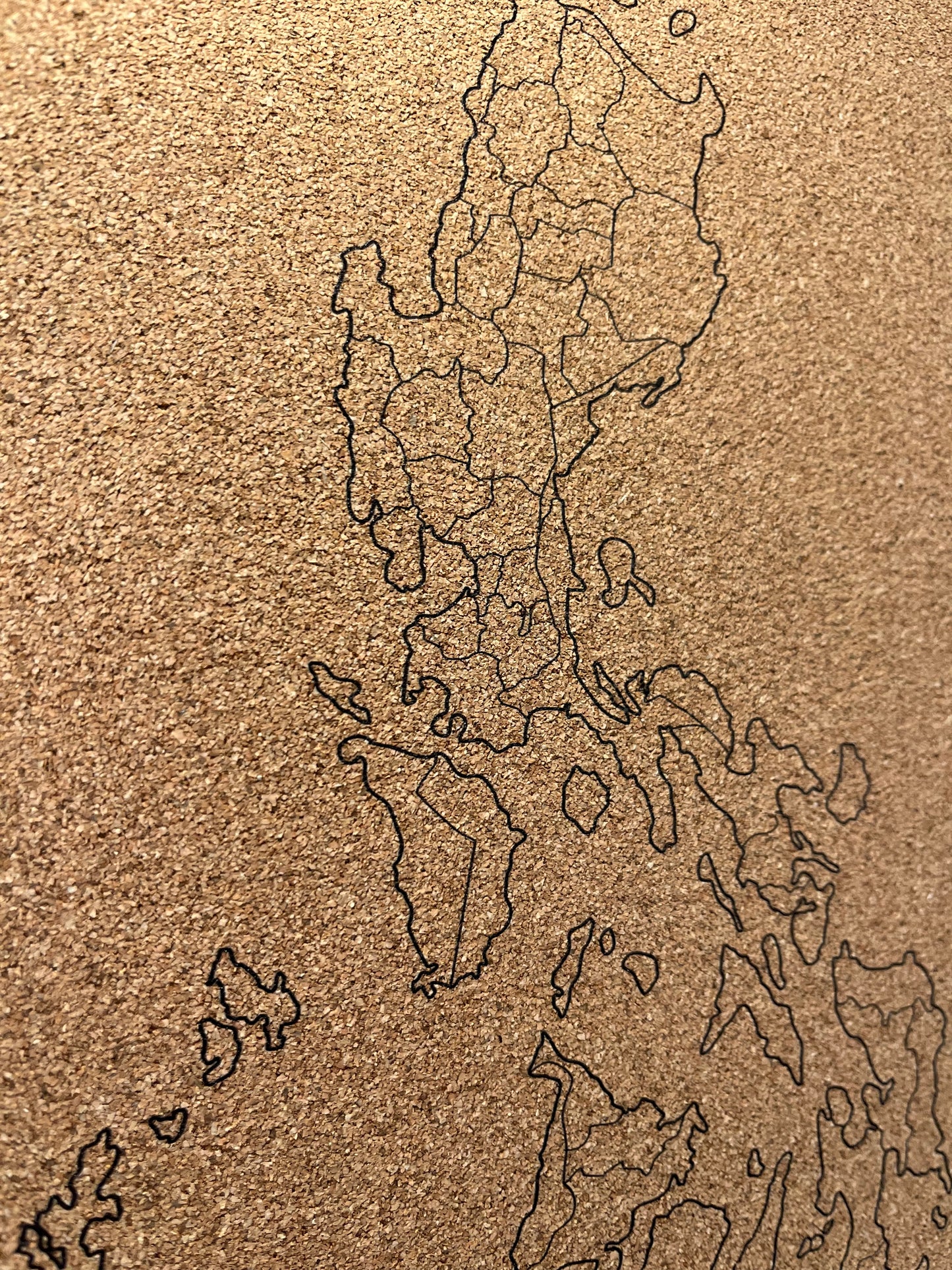 Map Cork Board