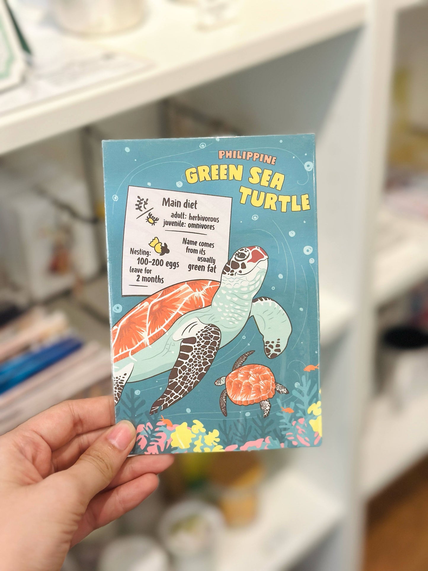 Philippine Green Sea Turtle Postcard