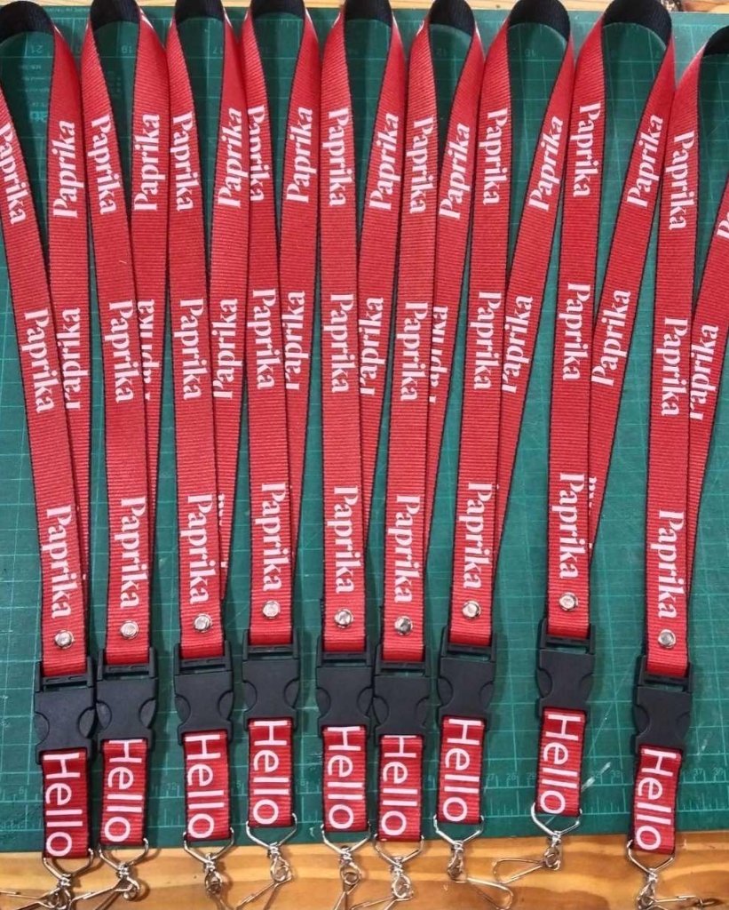 Lanyard